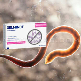 Гельминот купить в аптеке в Есике